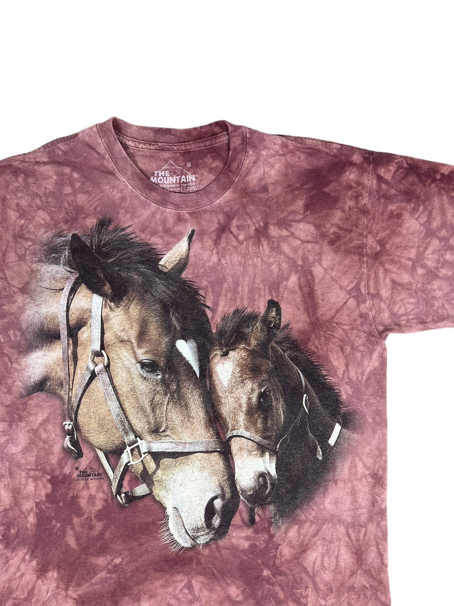 Vintage The Mountain Horses T Shirt - Medium